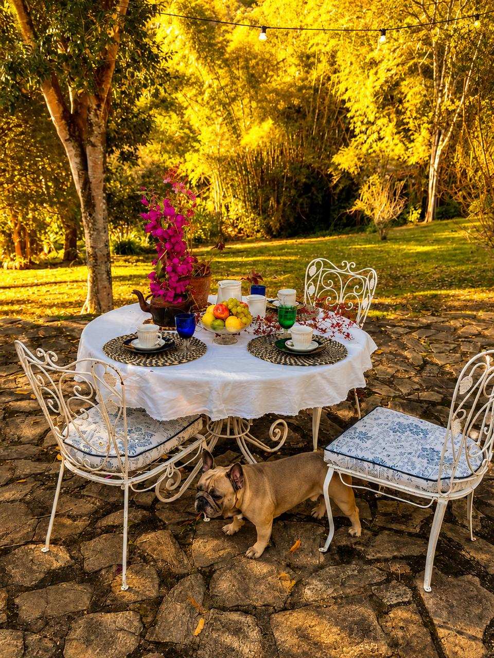 Mesa de café da manhã posta no pátio de pedra da Pousada FAVO, com toalha branca, frutas e flores, cadeiras de ferro branco e um buldogue francês embaixo da mesa; bambuzal dourado ao fundo