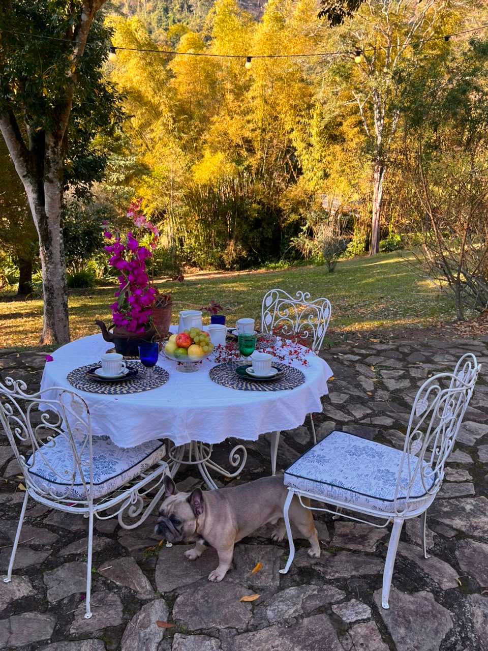 Mesa de café da manhã posta no pátio de pedra, com toalha branca, frutas e flores, e o bambuzal ao fundo